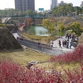 P1070274.JPG