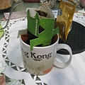 IMG_0020.JPG