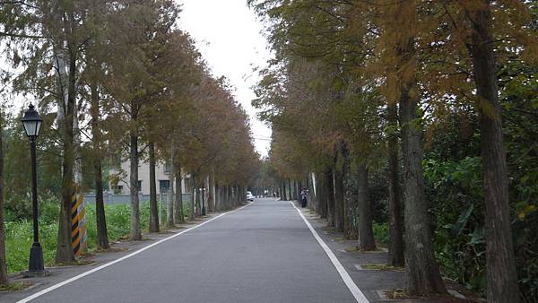 P1200205.JPG P1200205.JPG