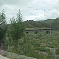 P1150771.JPG