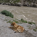 P1150832.JPG