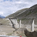 P1150854.JPG