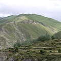 P1150890.JPG