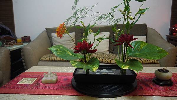 P1000041.JPG P1000041.JPG