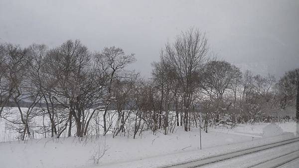 P1000249.JPG P1000249.JPG