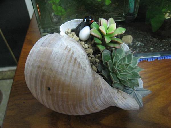 IMG_0003.JPG IMG_0003.JPG