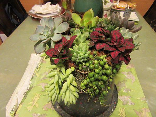IMG_0080.JPG IMG_0080.JPG