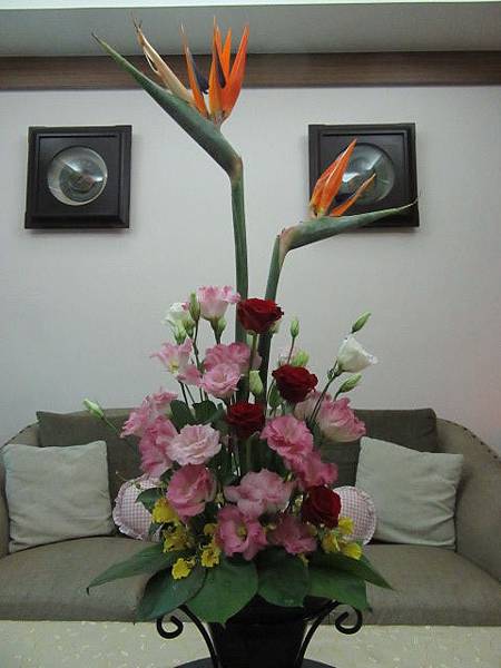 IMG_0022.JPG IMG_0022.JPG