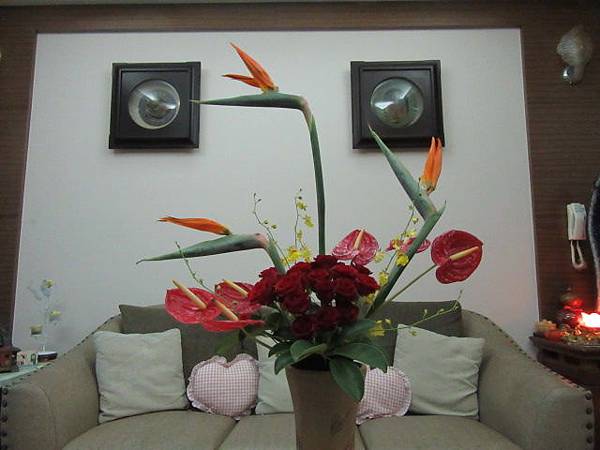 IMG_0033.JPG IMG_0033.JPG
