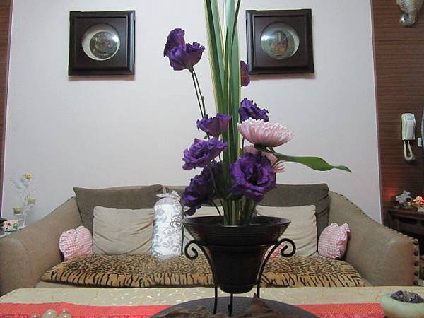 IMG_0026.JPG IMG_0026.JPG