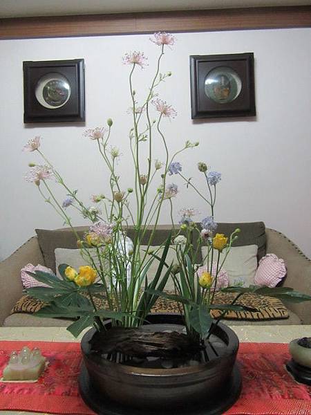 IMG_0013.JPG IMG_0013.JPG