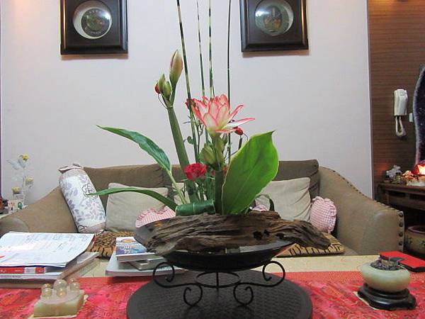 IMG_0008.JPG IMG_0008.JPG