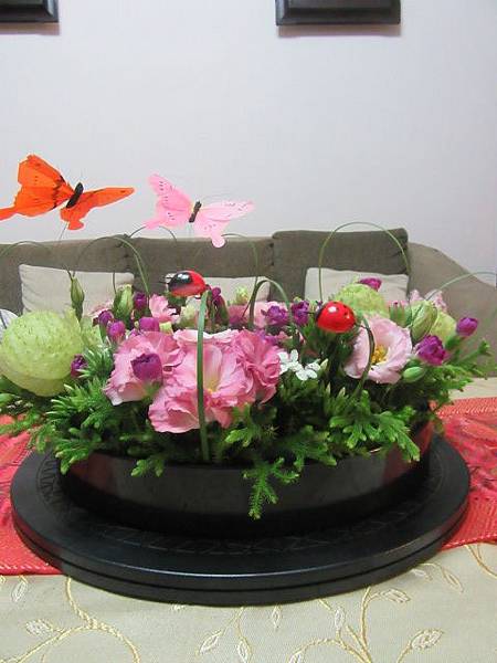 IMG_0003.JPG IMG_0003.JPG