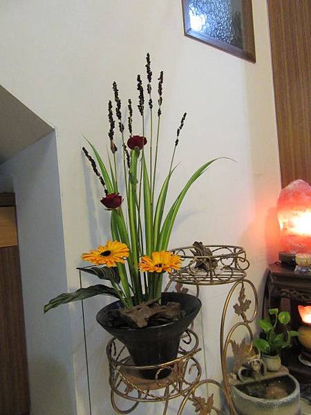 IMG_0033.JPG IMG_0033.JPG