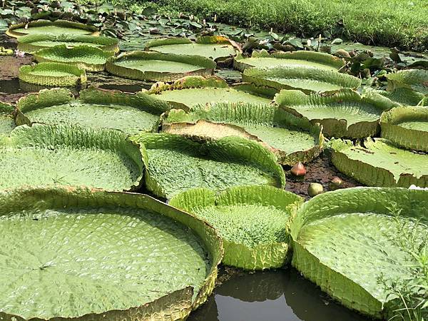 IMG_3860 IMG_3860