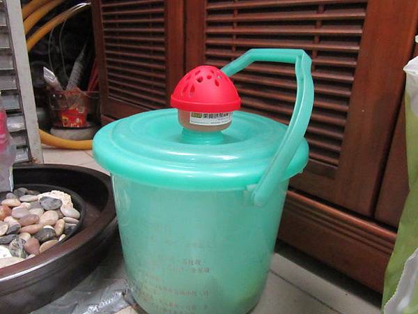 IMG_0293.JPG IMG_0293.JPG