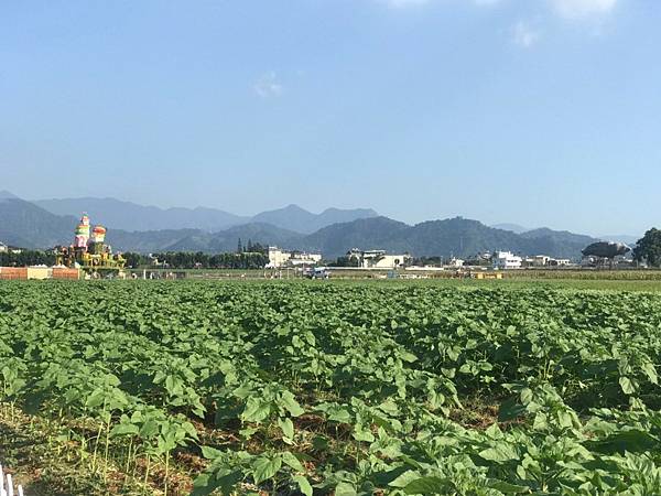 行荷居_231107_15.jpg 行荷居_231107_15.jpg