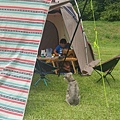 2+2 camping_5306.jpg