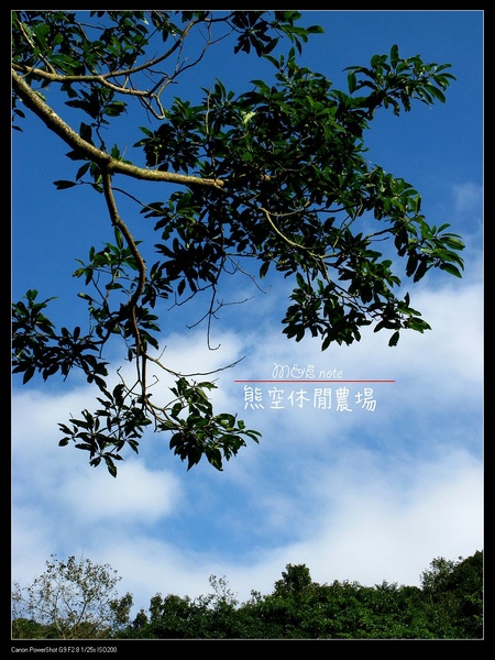 晴空萬里 晴空萬里