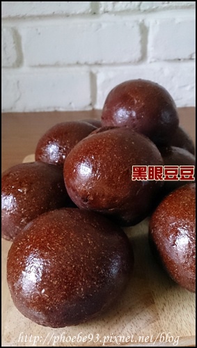 6 黑眼豆豆.JPG