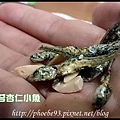 15 聯華杏仁小魚.JPG