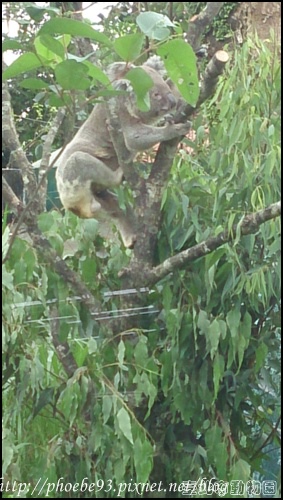 動物園61.JPG