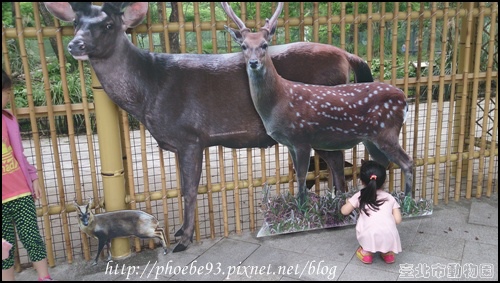 動物園08.JPG