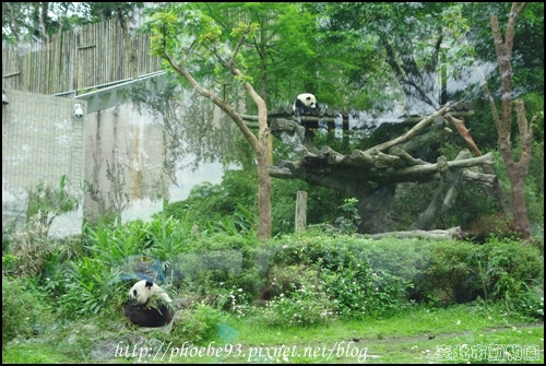 動物園13.JPG