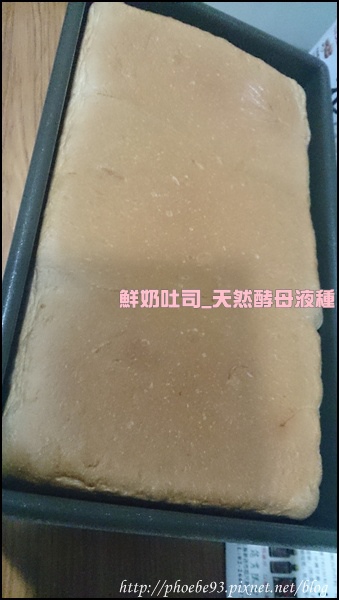 鮮奶吐司_天然酵母液種04.JPG