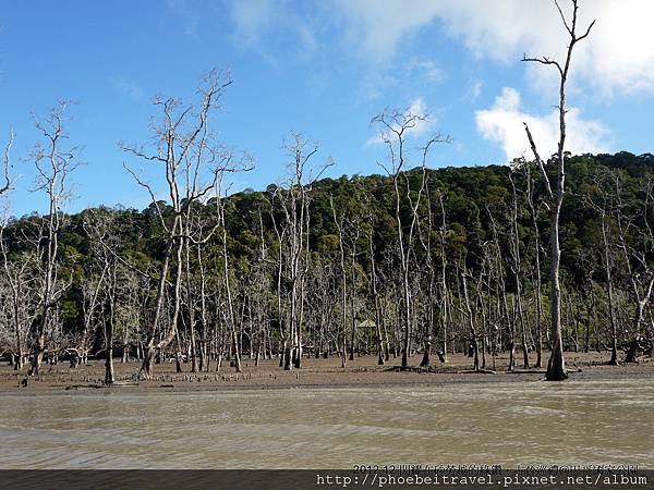 巴哥國家公園七大生態區之一的紅樹林潮間帶區