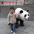 去動物園看熊貓