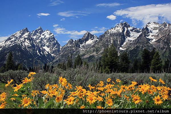 dreamstime_l_35318453