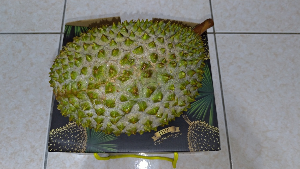 P_20201017_212931.jpg P_20201017_212931.jpg