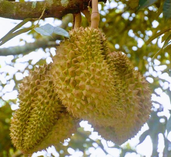 24aa0a4b021e51c16be3d86ef6e4e9f1.jpg 24aa0a4b021e51c16be3d86ef6e4e9f1.jpg