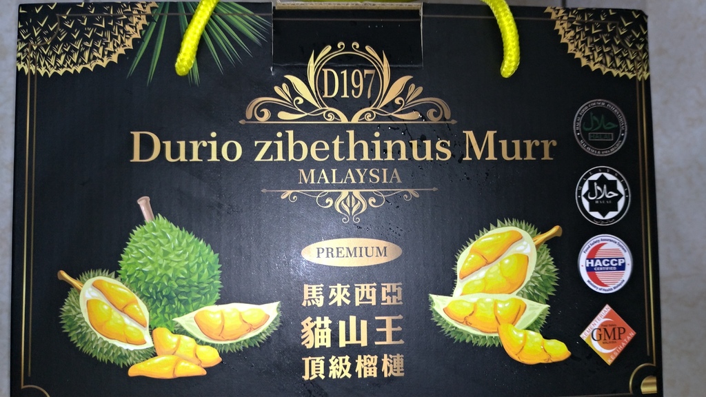 P_20201017_212122.jpg P_20201017_212122.jpg