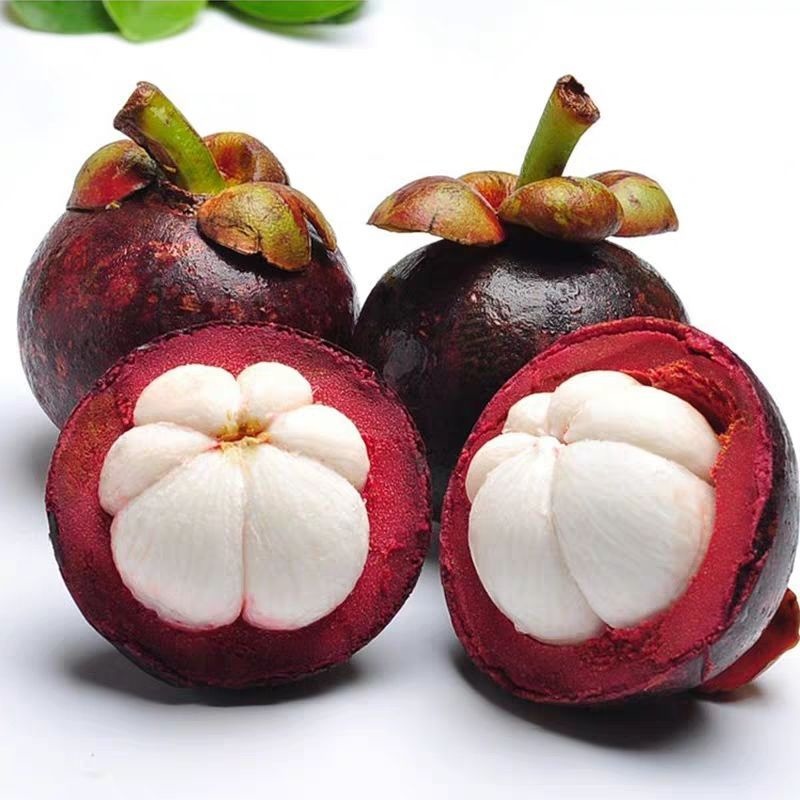 P9oI8eXYeug1PuXjoQHlkA.jpg P9oI8eXYeug1PuXjoQHlkA.jpg