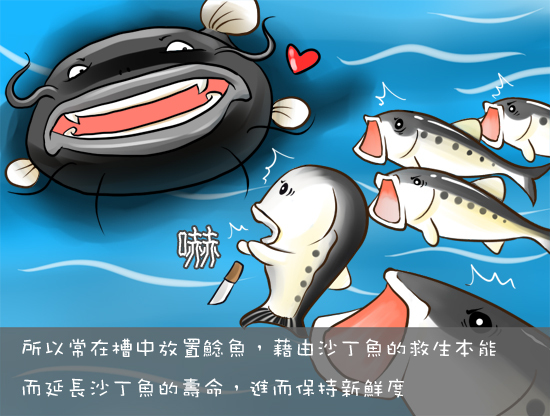 04_鯰魚效應03.jpg