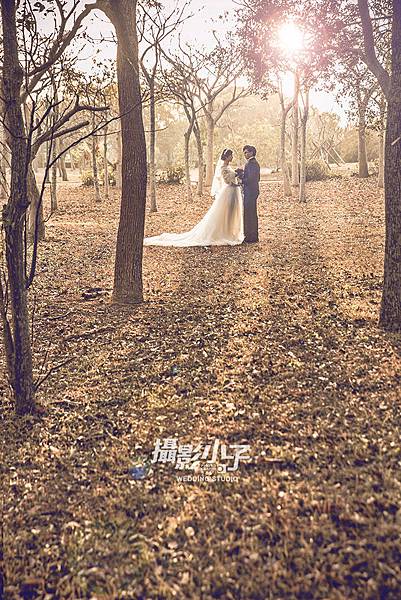 攝影小子Wedding Studio攝影小子Wedding Studio攝影小子Wedding Studio攝影小子Wedding Studio攝影小子Wedding Studio攝影小子Wedding Studio攝影小子Wedding Studio