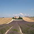 Provence2002 164.jpg