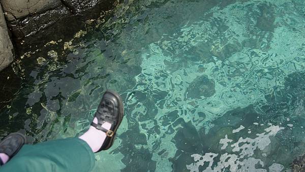 20240401-0430子瑄打工換宿心得