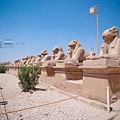 Egypt_208.jpg