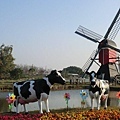181849_193541340665216_4629835_n