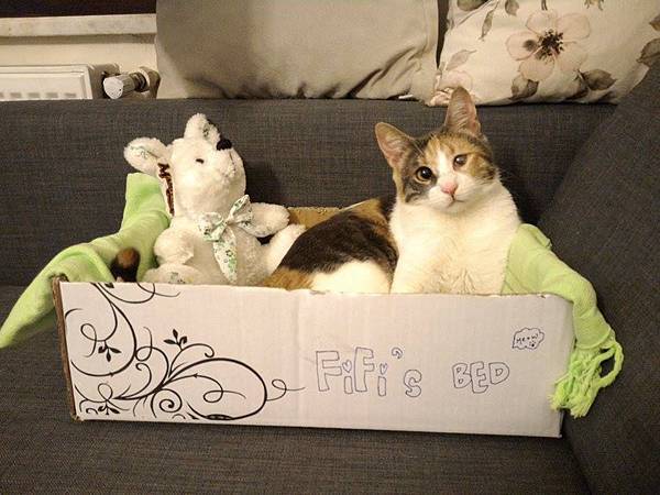 11749758_1156688854346765_739068211_n