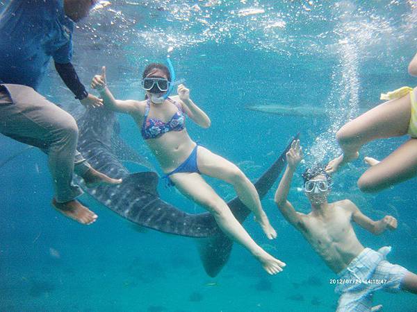 12063913_1211029228912727_1602929681_n