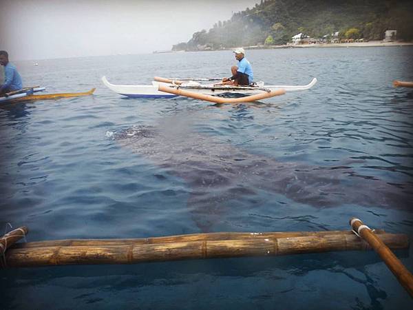 12092563_1211028952246088_1173479463_n