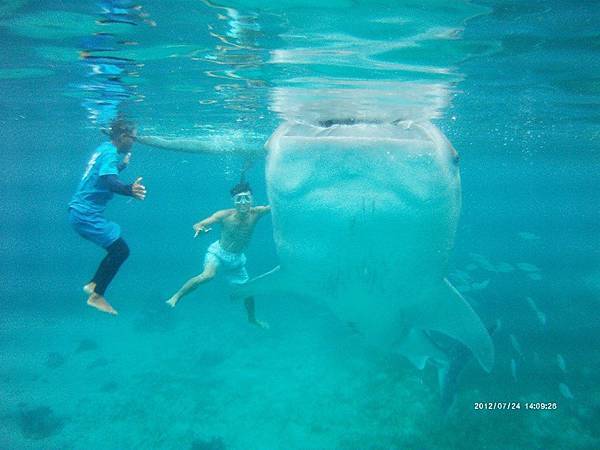 12165753_1211029445579372_396598458_n