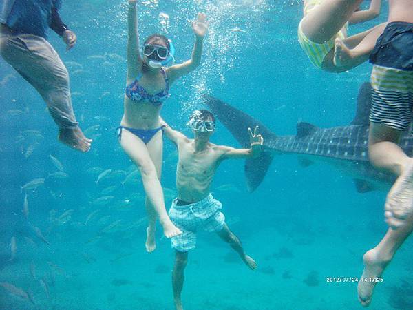 12166400_1211029495579367_1110667710_n