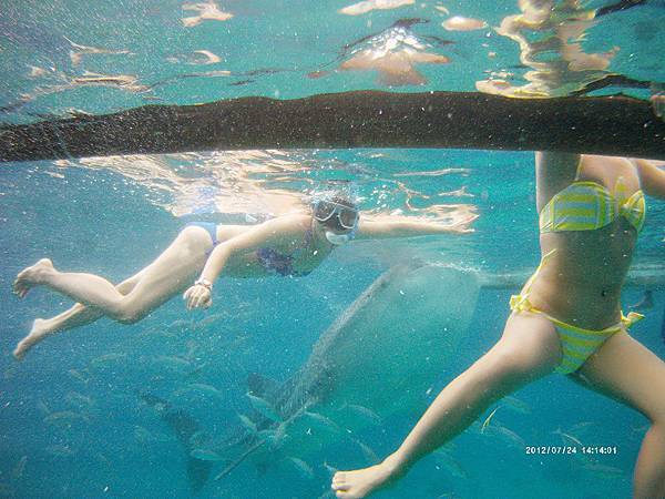 12166423_1211029105579406_767720360_n