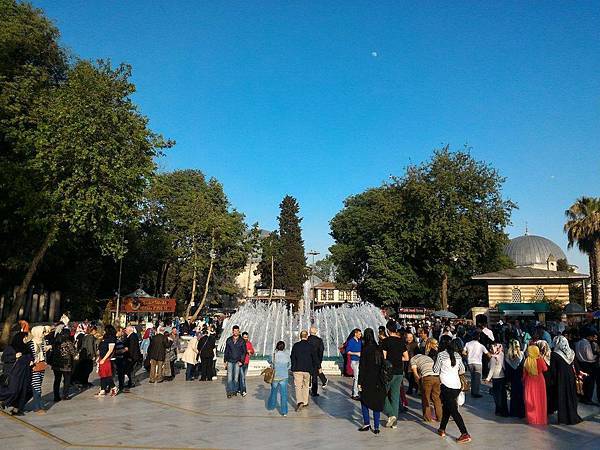 13009698_1331248630224119_1143057896_o