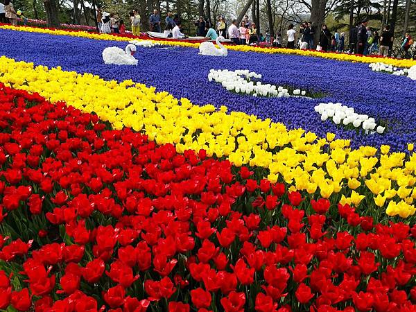 2017 lale emirgan_7213.jpg